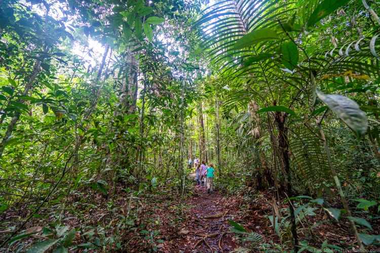 São Paulo| Amazon Lodge| Rio de Janeiro