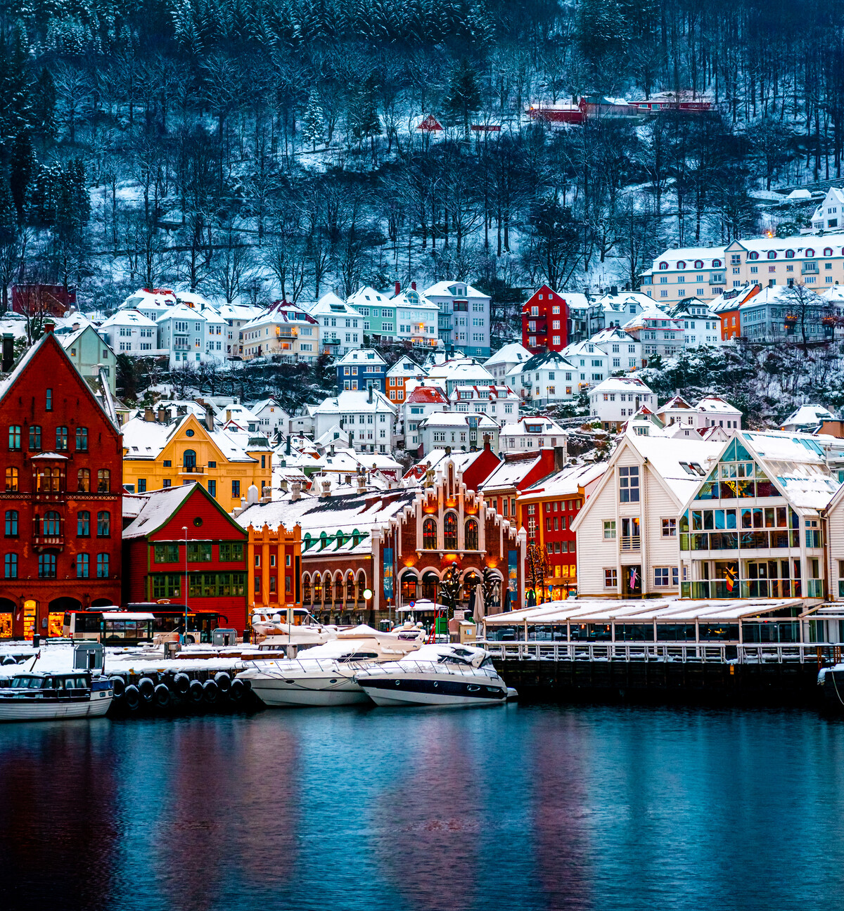 Finland| Sweden | Norway | Denmark