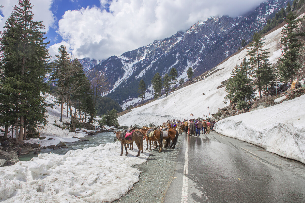 Kashmir-Amritsar Delight